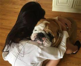 狗上女人视频在线观看,温馨视频在线欣赏